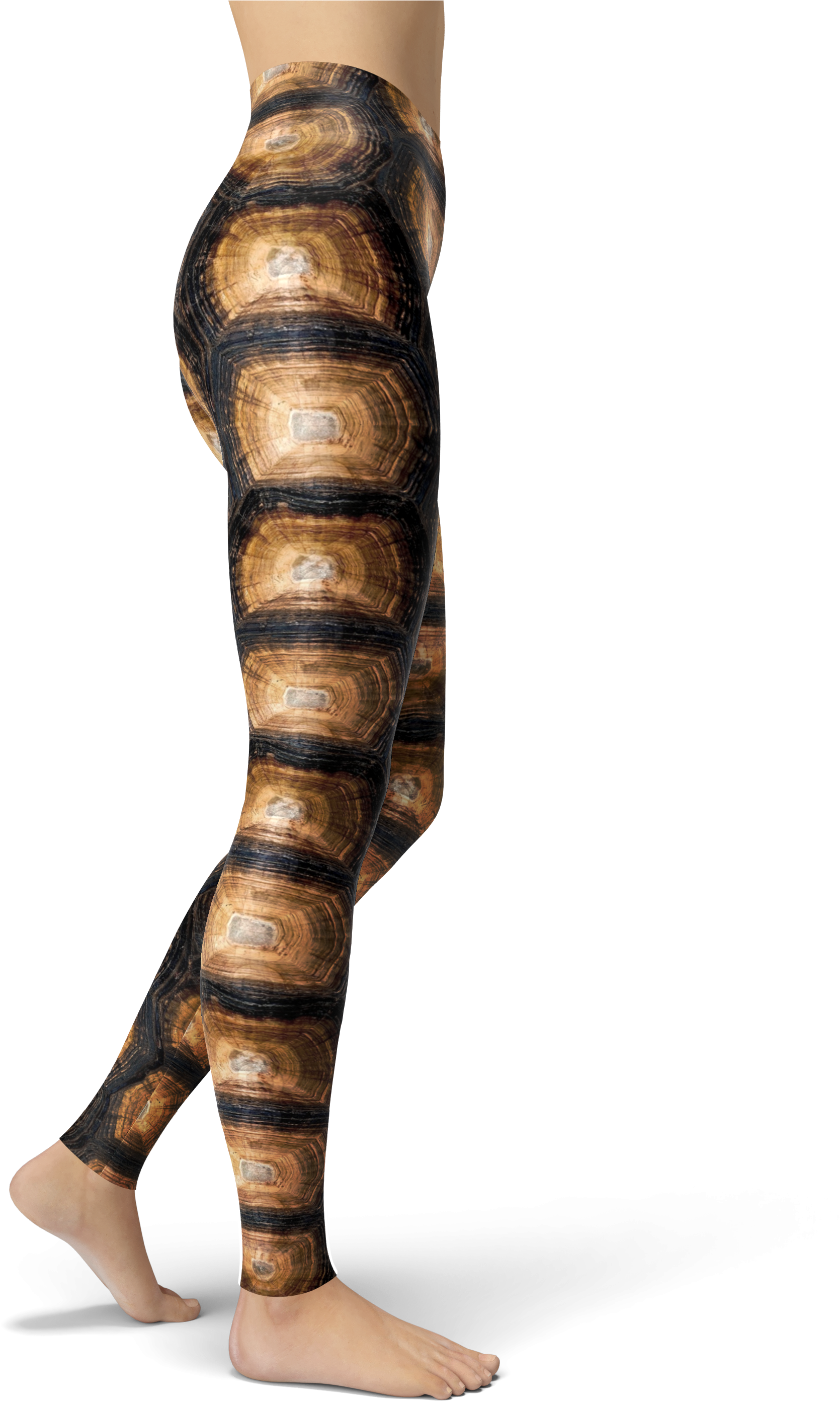 Turtle Shell Leggings - Tights (4000x3000), Png Download