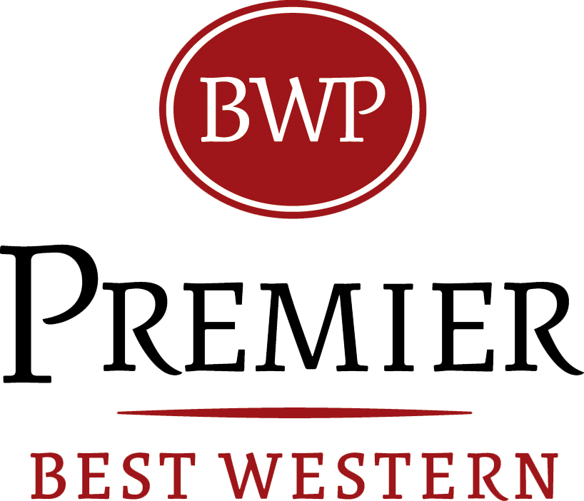 Born To Invest - Sport Club Internacional (818x702), Png Download