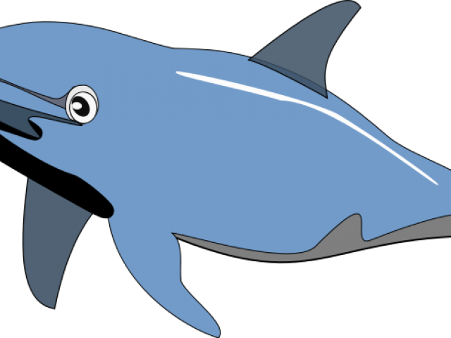 Dolphin Clip Art (640x480), Png Download