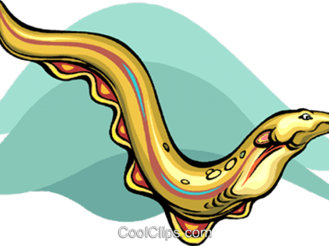 Eel Clipart Vector (640x480), Png Download