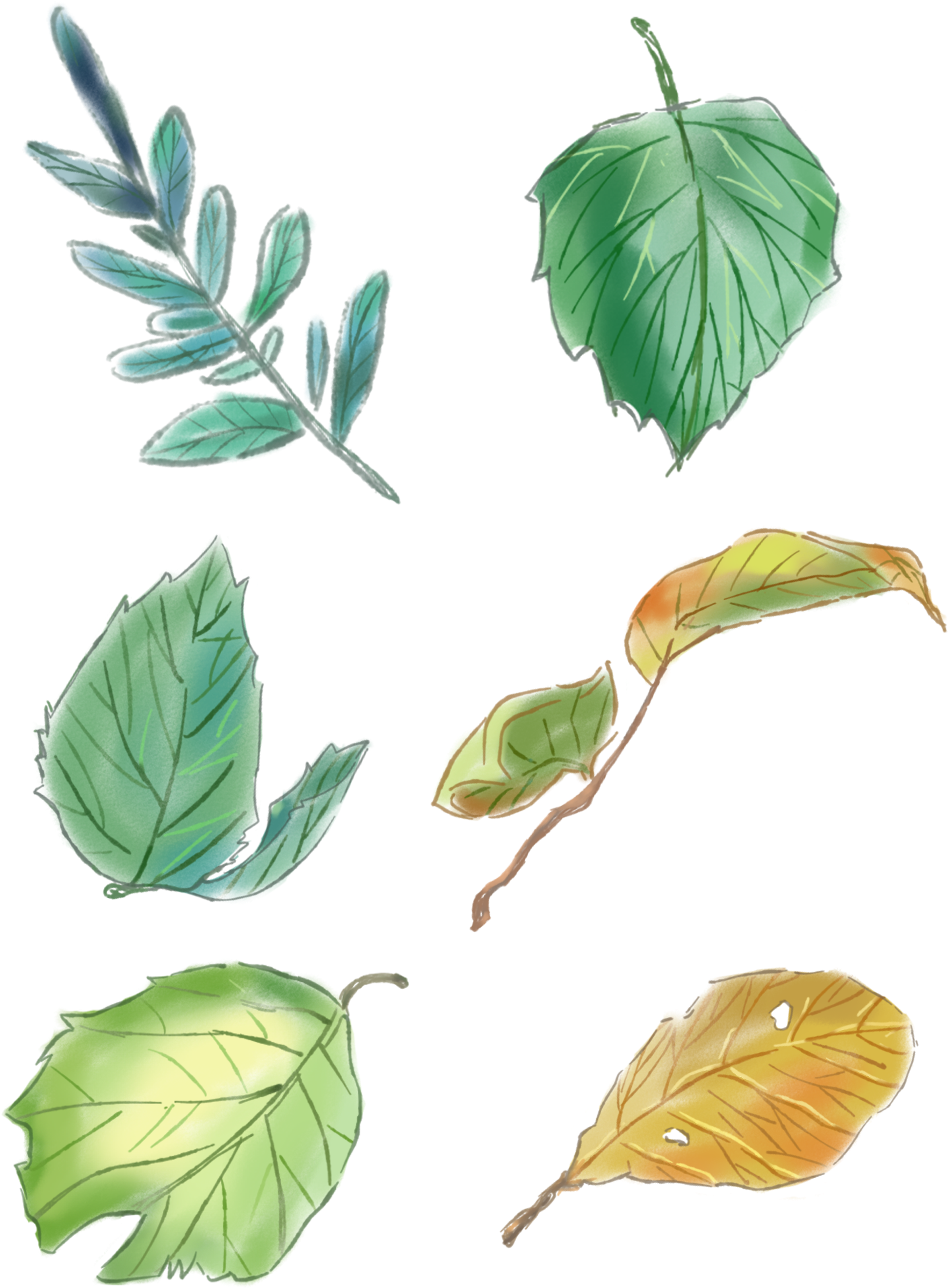 Original Hand Painted Green Leaves Set Drawings Png - Design (2048x2738), Png Download