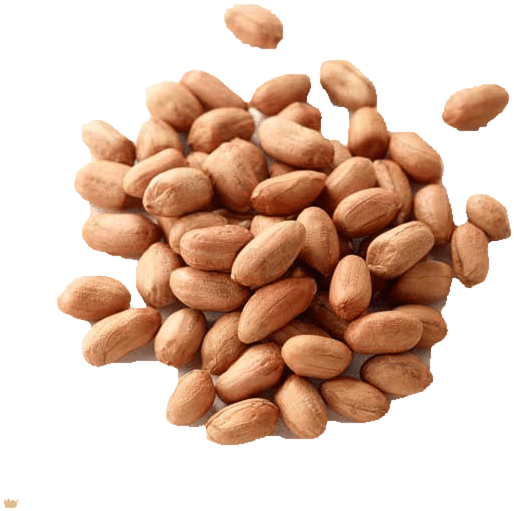 The Groundnut Belongs To The Pea And Bean Family And - Almond (669x571), Png Download