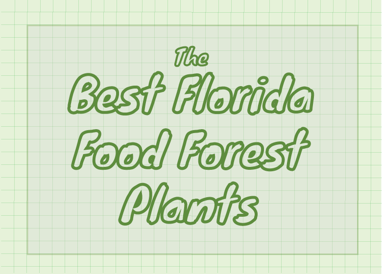 The Best Florida Food Forest Plants - Handwriting (780x560), Png Download