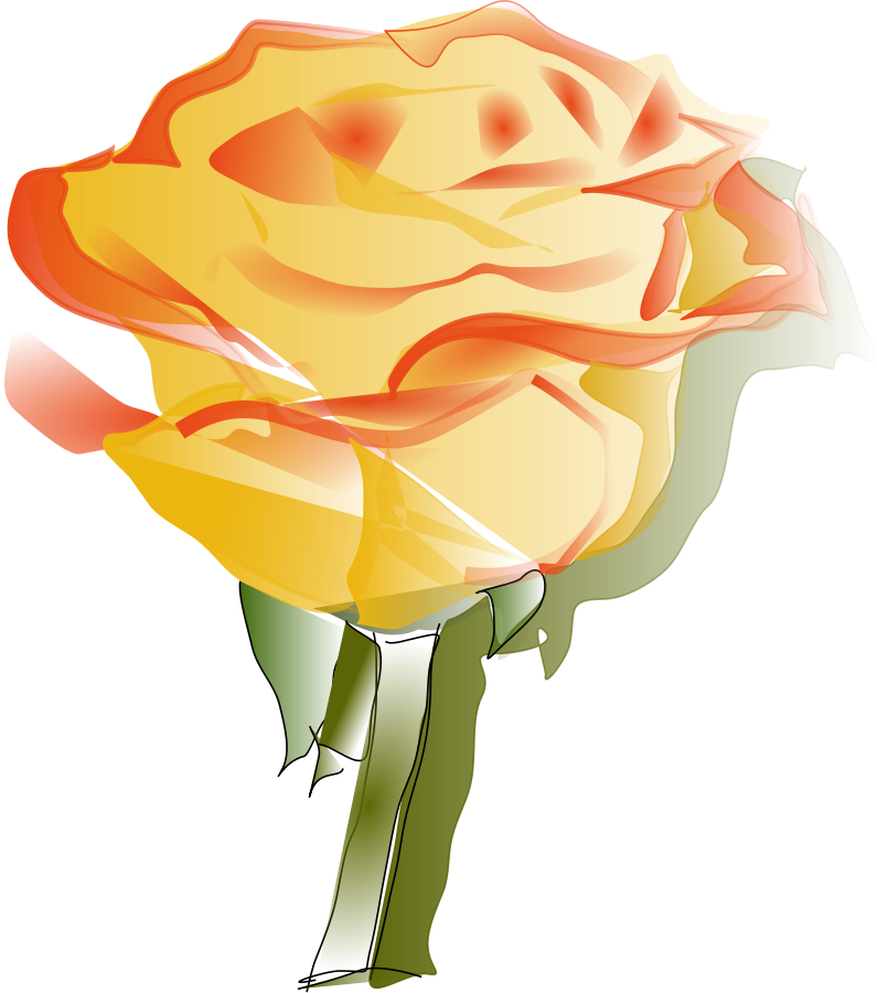 Yellow Rose Clipart Free Images Pictures - Yellow Rose Transparent (795x900), Png Download