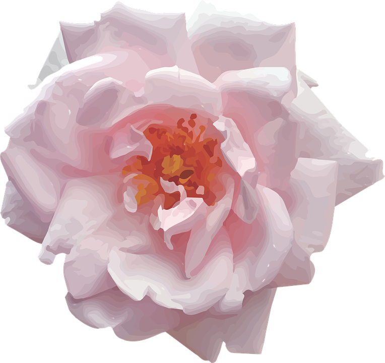 Pink, Rose, Vector - Cafepress Full/queen Duvet Cover (764x720), Png Download