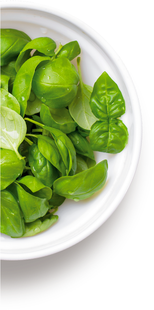 For A Product That Is Always Tasty And On-trend - Basil (622x1102), Png Download