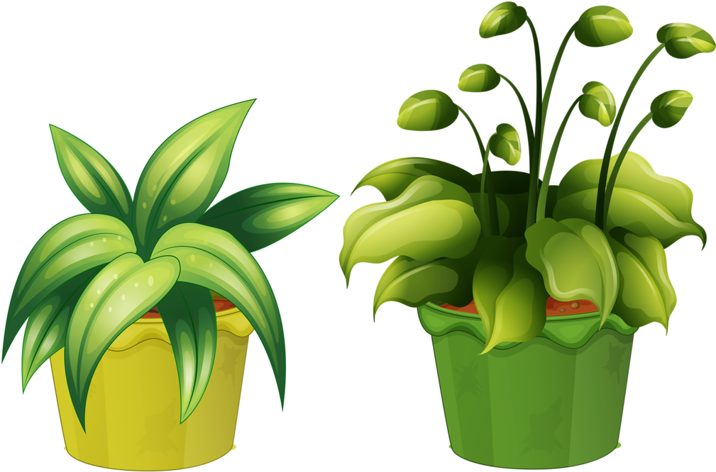 Flower Pot 15 - Vaso Planta Desenho Png (1024x697), Png Download