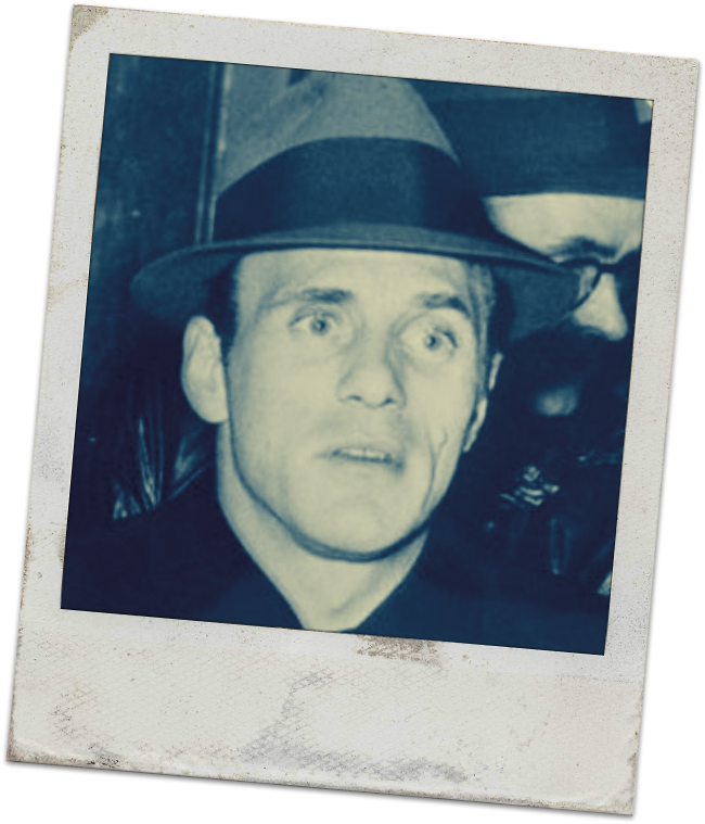 Joey Gallo Quote - Crazy Joe Gallo (658x768), Png Download