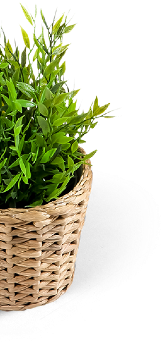 Wicker Flowe Pot - Grass (536x1220), Png Download
