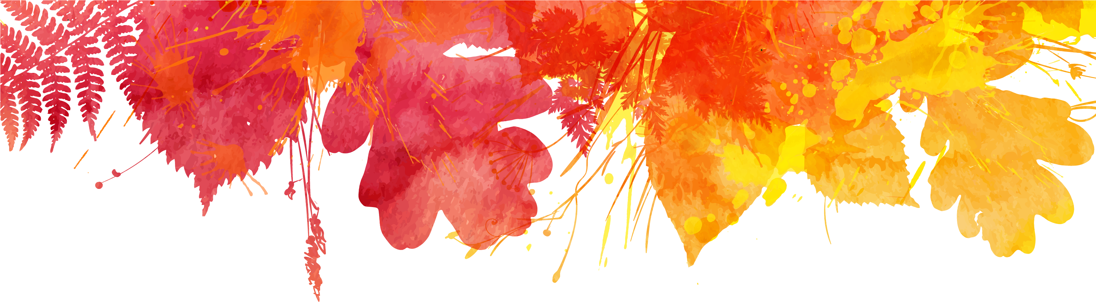 Eat Clean And Release Weight Naturally - Net D (3625x1013), Png Download