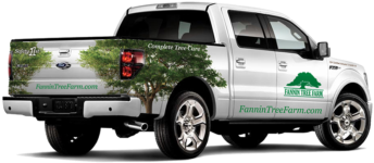 Fannin Tree Farm - 2011 Ford F150 Limited (368x328), Png Download