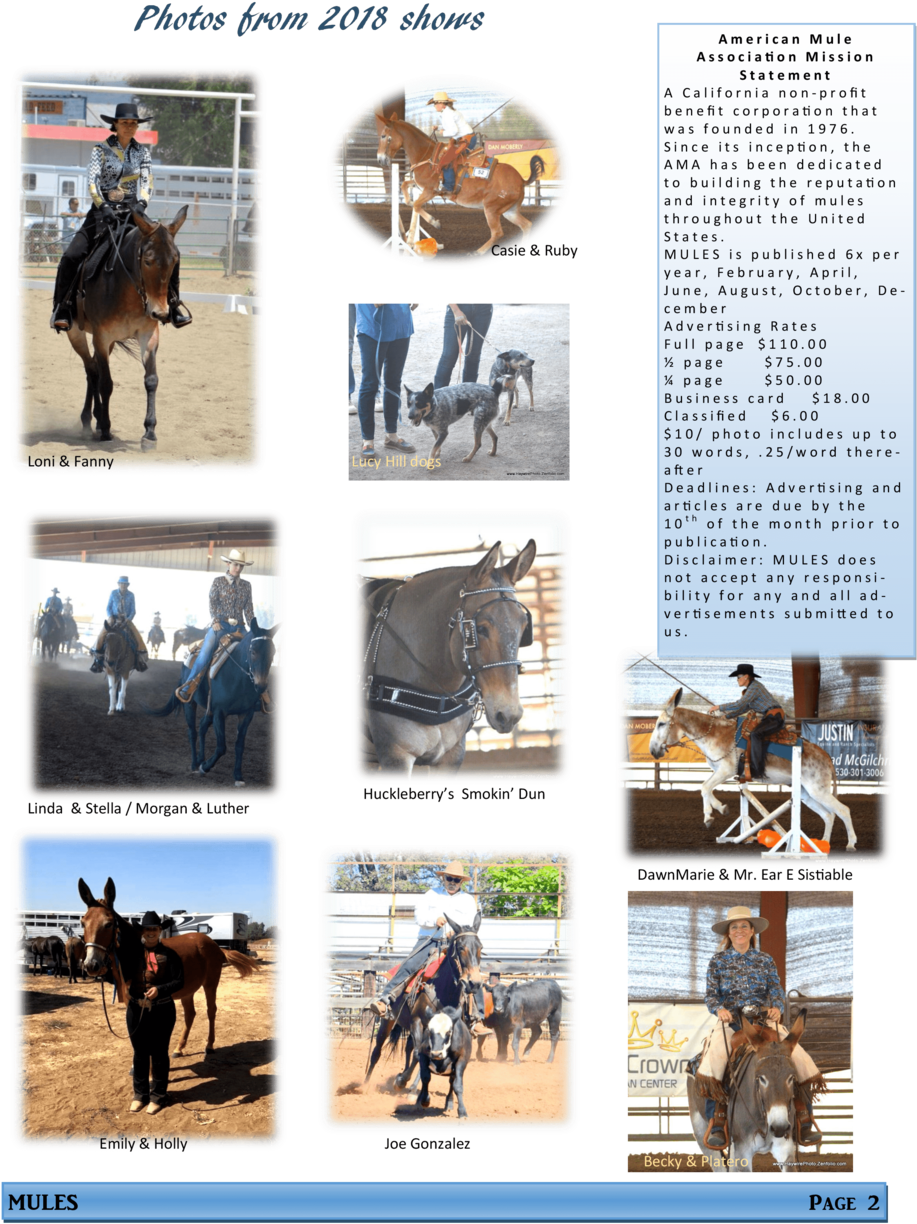 Newsletter Oct2018 02-min - October (1000x1294), Png Download