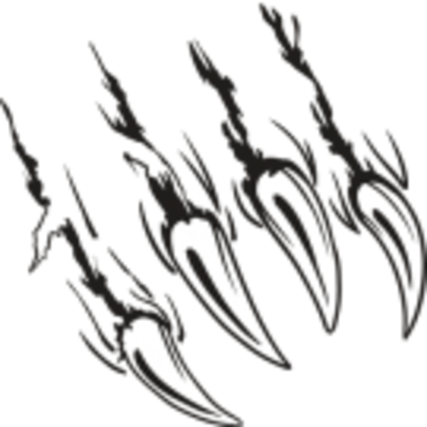 Small - Bear Claw Scratch (600x600), Png Download