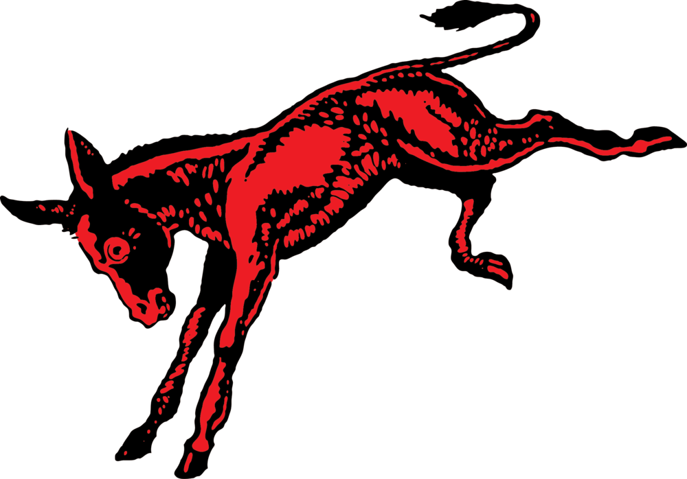 Mule Png (1000x698), Png Download