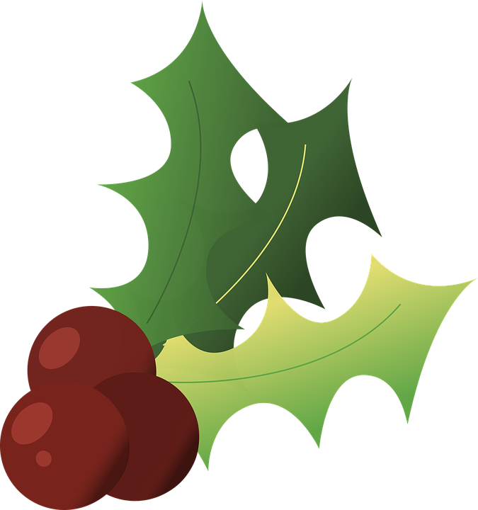 Vector Holly Page Borders - Acebo Navidad Fondo Blanco Gratis (675x720), Png Download