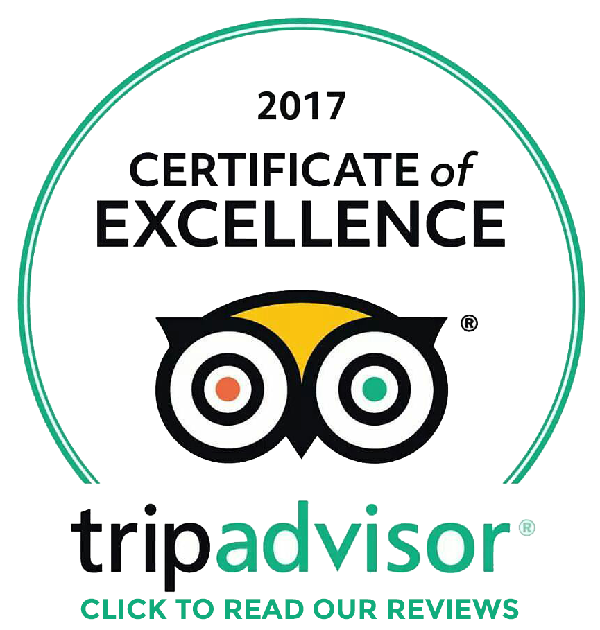 Tripadvisor Logo 1 - Listerine Antiseptic Mouthwash, Cool Mint - 250 Ml (720x720), Png Download