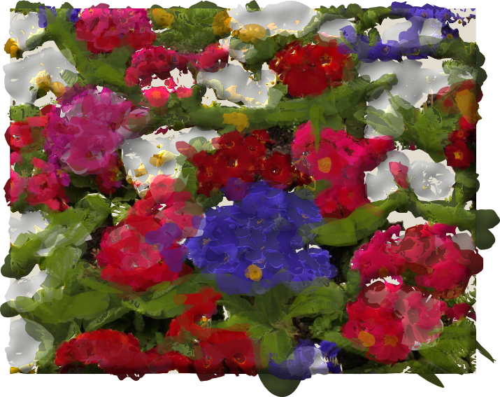 Green Red Purple - Petunia (715x567), Png Download