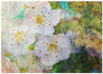 Spring White Flowers And Messy Watercolor Splatter - Watercolor Painting (400x400), Png Download