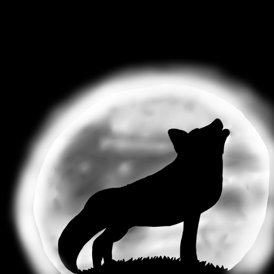 Images Drawings Of Wolves Howling At The Moon In Pencil - Wolf Howling At Moon Cartoon (894x894), Png Download