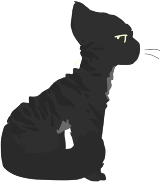 Lodestone - Peachwing - Domestic Short-haired Cat (600x380), Png Download