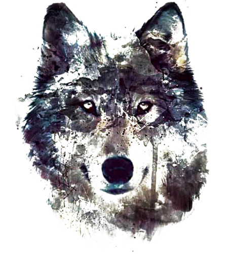 Wolf Beauties - Волк Hd (450x499), Png Download