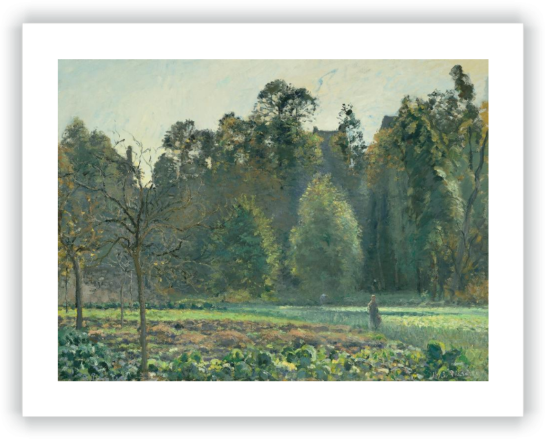 The Cabbage Field, Pontoise - Pissarro The Cabbage Field (800x643), Png Download