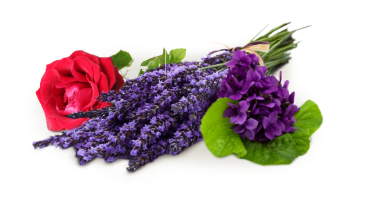 Trublooms - Com - Chicago (532x307), Png Download