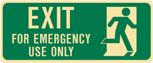 Brady Glow In The Dark And Standard Floor Exit For - Exit/evacuation Signs - Exit For Emergency Use Only (800x800), Png Download