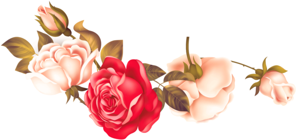 Garden Roses (715x715), Png Download
