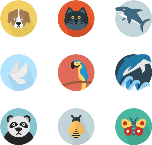 Animals - Multimedia Png (600x564), Png Download