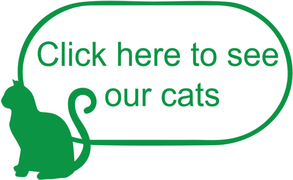 Catt-02 - Illustration (1000x783), Png Download
