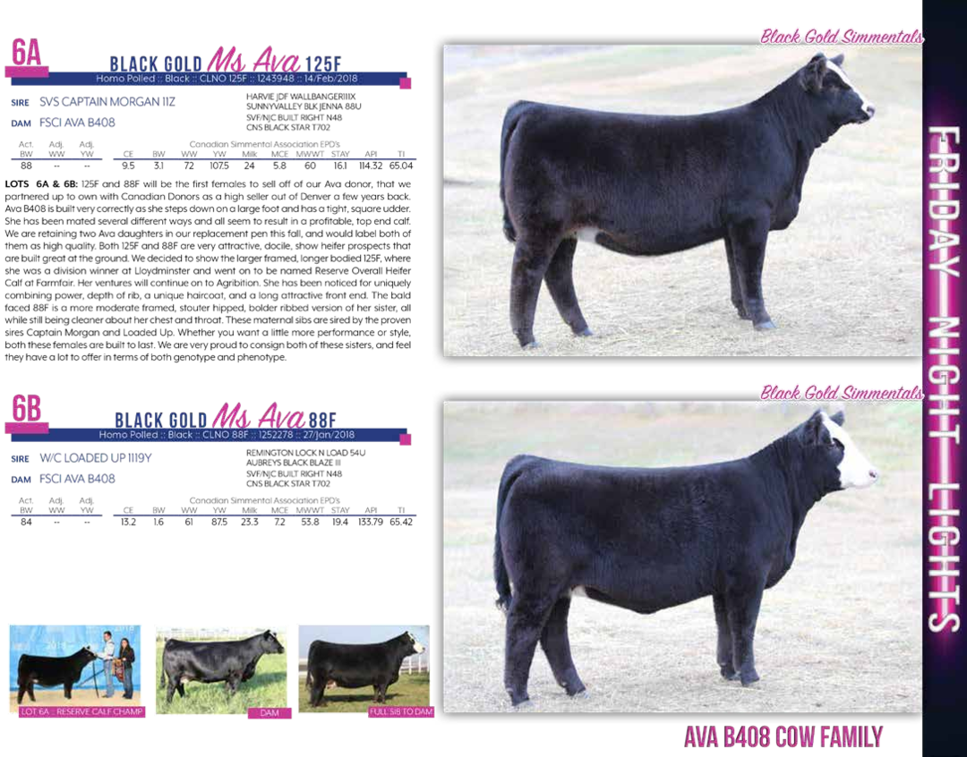 $8,250martin Cattle Services (1080x846), Png Download