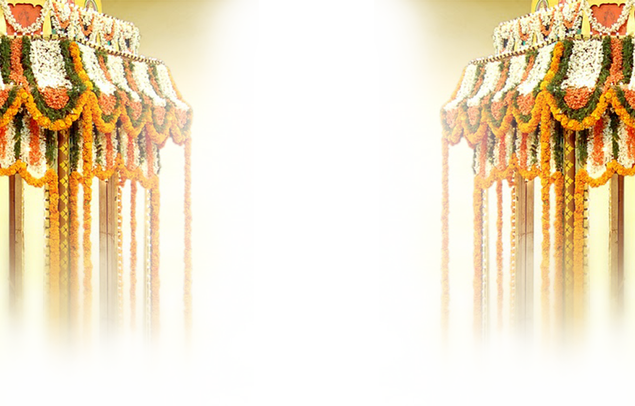 October 14th, - Macro Photography (1263x808), Png Download