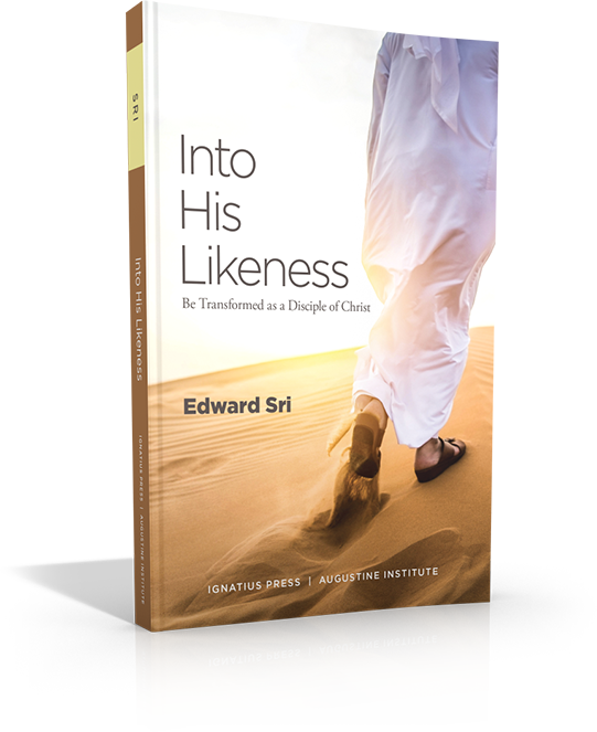 View Book Sample - Into His Likeness: Be Transformed As A Disciple Of (541x663), Png Download