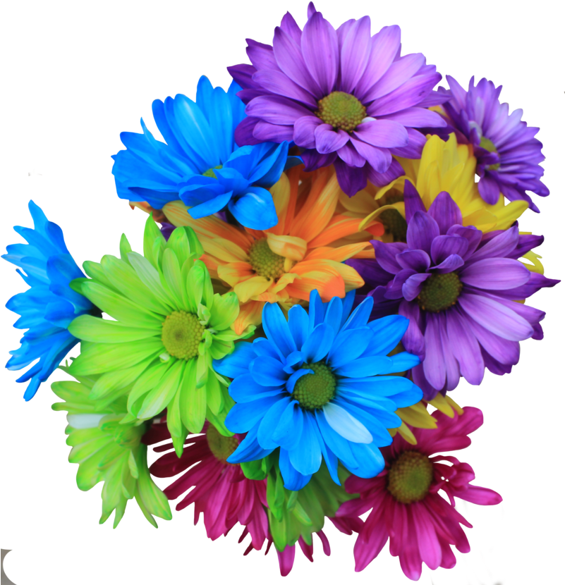 Bouquet Transprent Png Free - Daisy Flowers Bouquet Png (800x842), Png Download