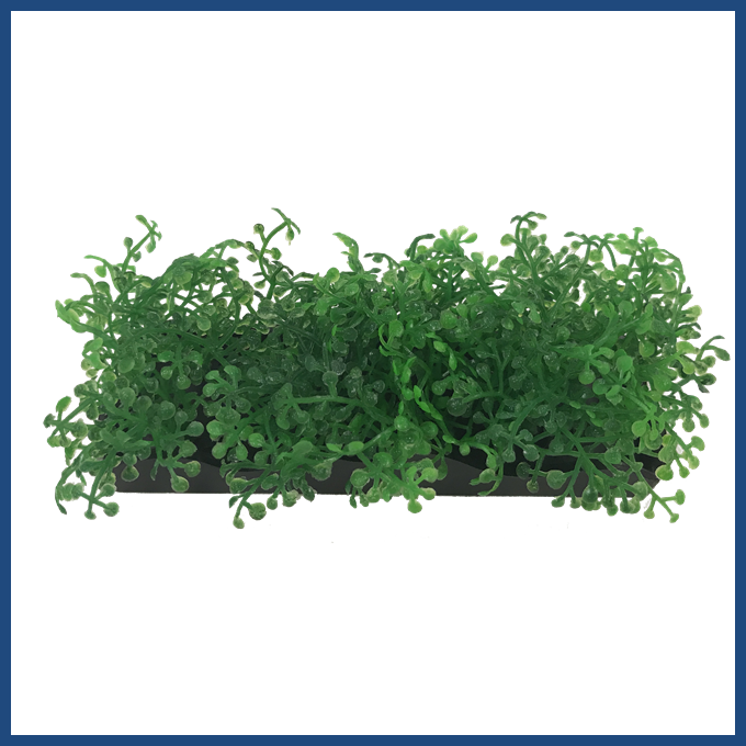 View Larger - Moss (680x680), Png Download