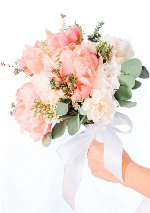 Largest Collection Of Free To Edit Flower Bokeh Nature - Wedding (480x736), Png Download