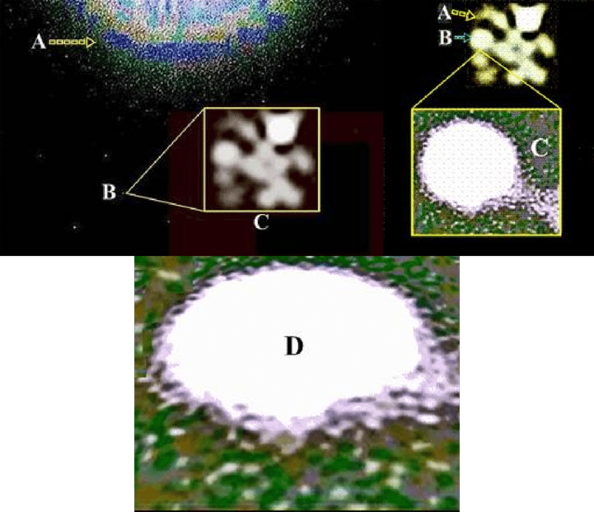 -(please Use The Pdf Document ( ) Magnification - Grass (850x732), Png Download