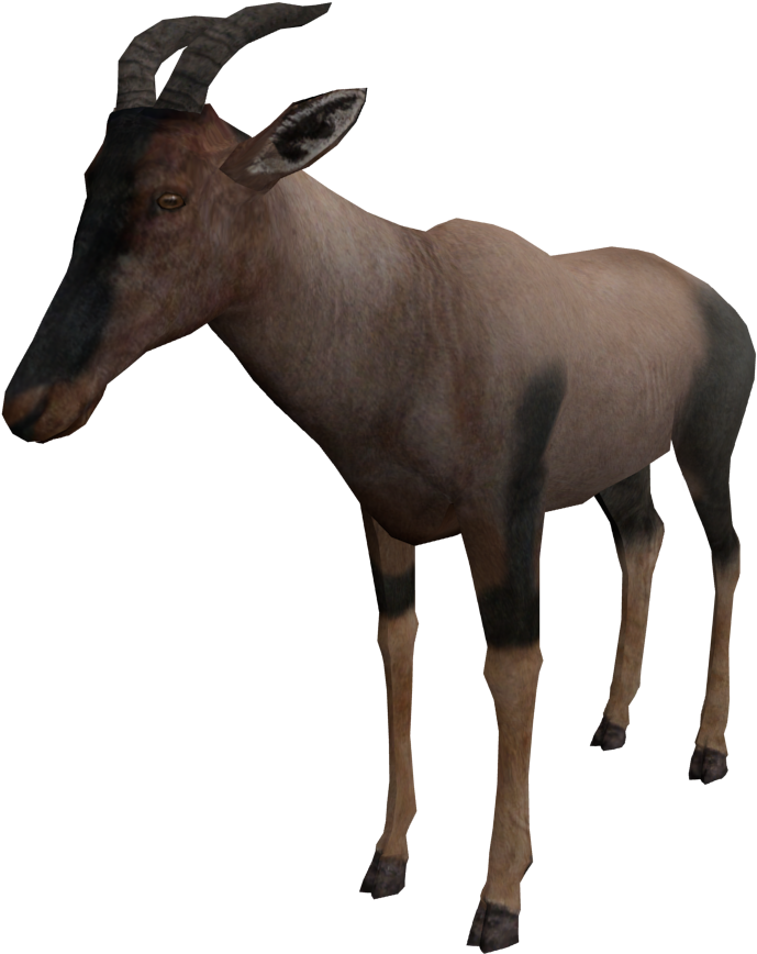But Now I Have A Problem - Goat (1024x1024), Png Download