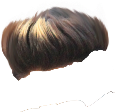 Hair Png ➤ Download - Bun (750x768), Png Download