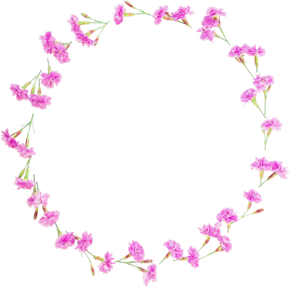 Floral Flowers Flower Round Frames Frame Borders Border - Floral Design (1024x1016), Png Download