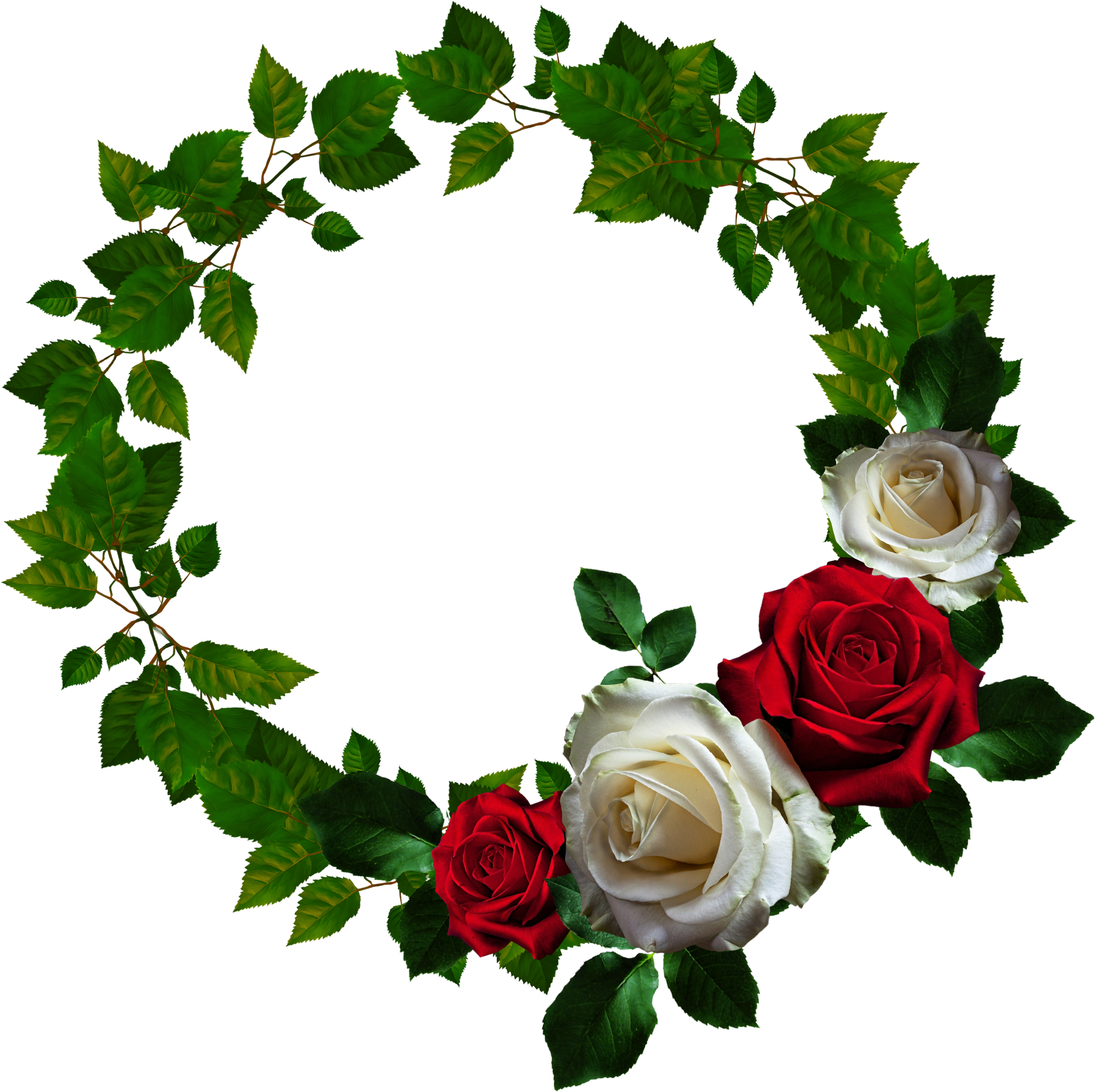 Picture Frame Flower Clip Art - Round Rose Frame Png (2324x2319), Png Download