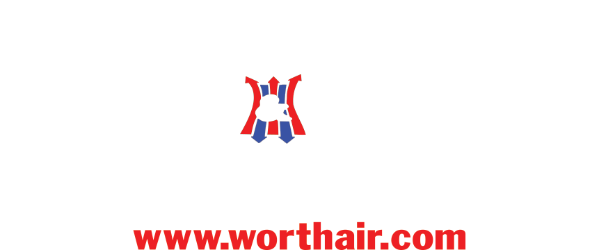 Dealer Logo - Poster (861x360), Png Download