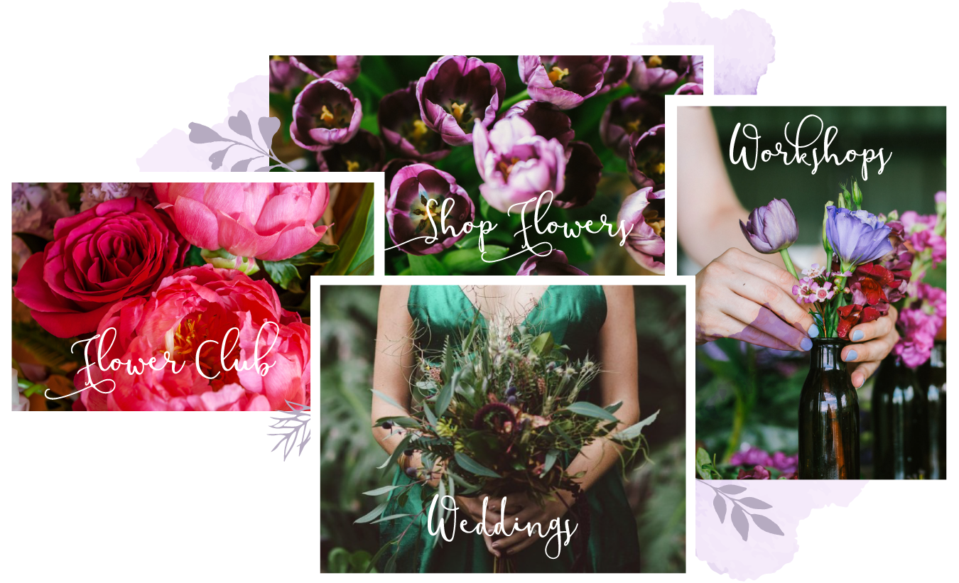 Contact Us To Discuss Your Special Event, Wedding, - Floribunda (1361x835), Png Download