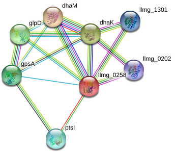 Llmg 0258 Protein - Diagram (976x334), Png Download