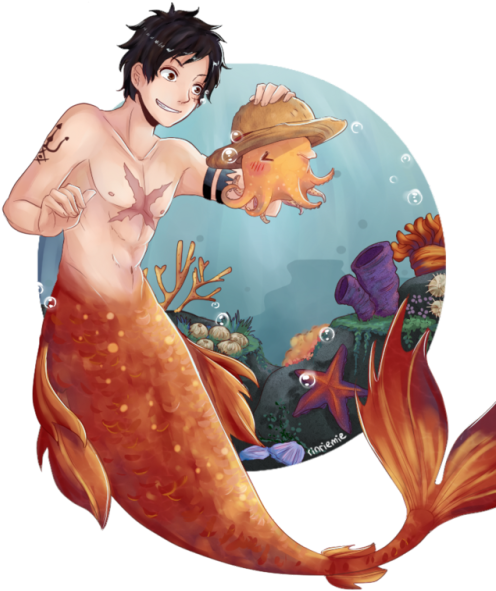Mermaid Anatomy - One Piece Fanfiction Merman (500x666), Png Download