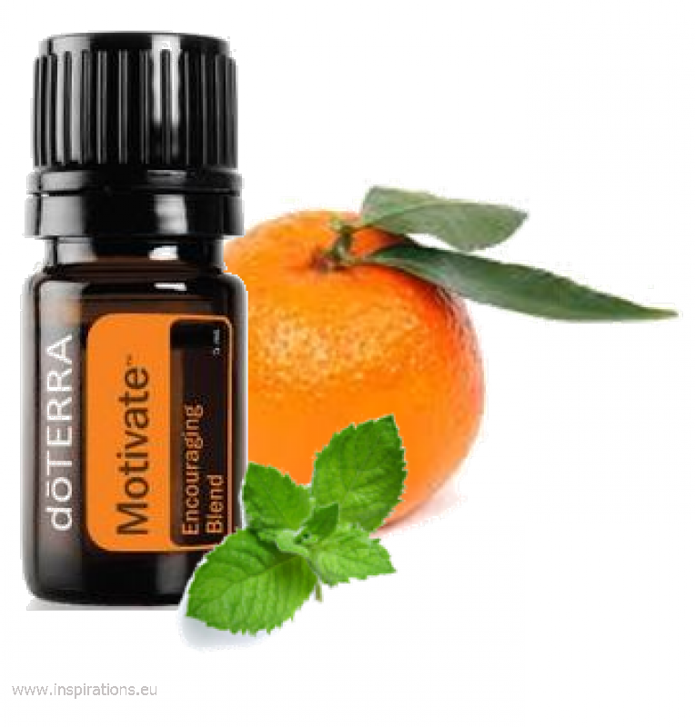Doterra Motivate Ermutigende Mischung 3206 Major Erika - Doterra Motivate (764x800), Png Download