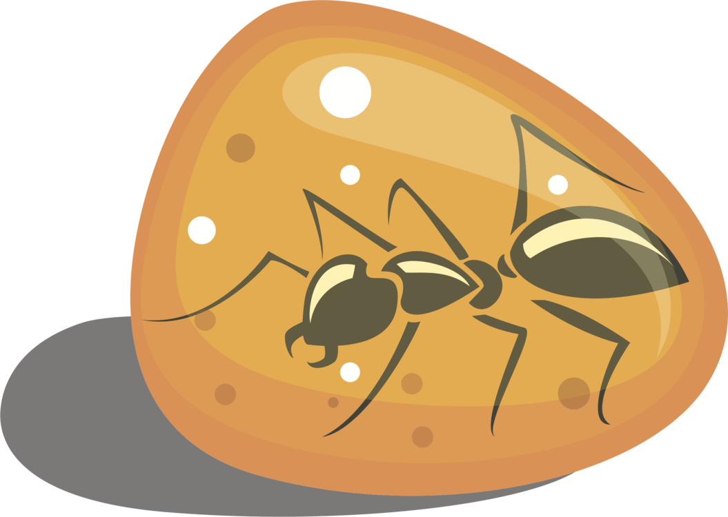 Download Amber Fossil Ant Resin Fossil In Amber Clip Art Full Size PNG Image PNGkit