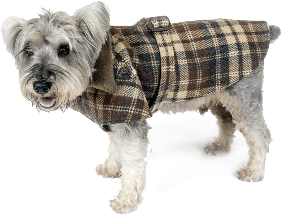 Dog Clothes (1000x999), Png Download