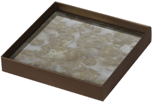 Tgn 020384 Fossil Organic Petite Glass Tray Metal Rim - Ceiling (784x784), Png Download